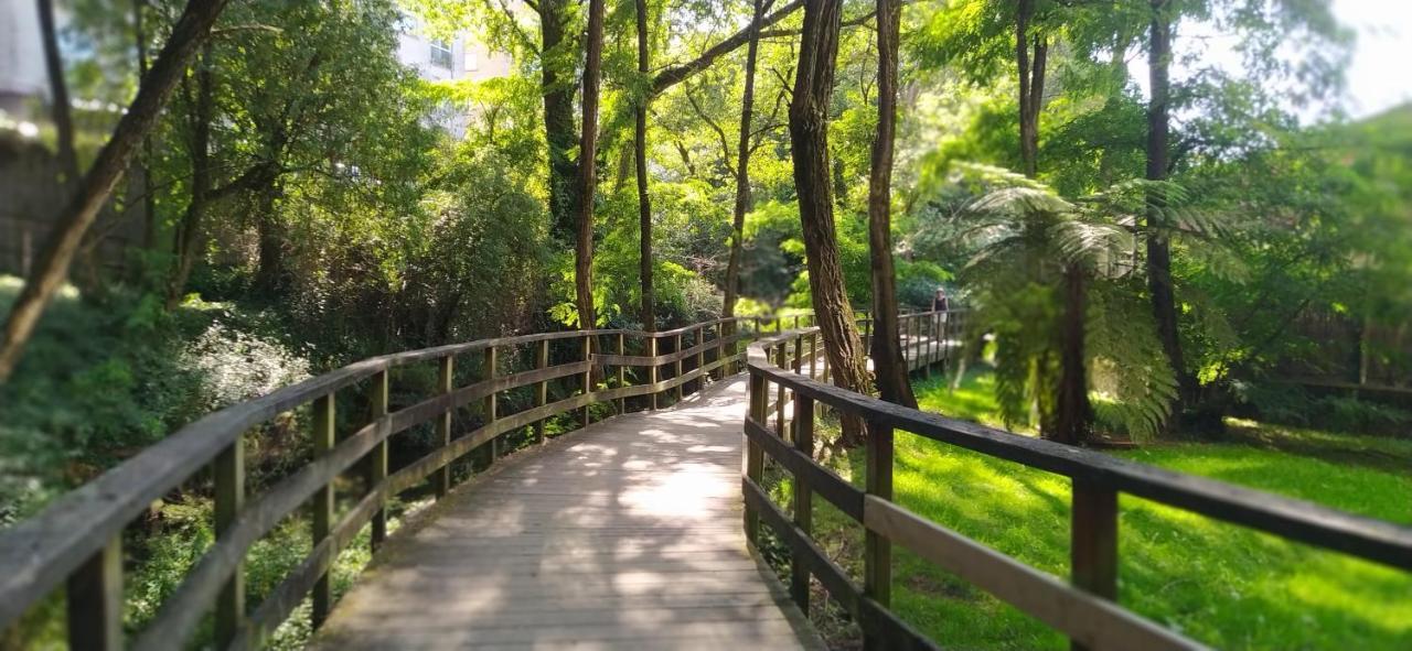 Moderno Y Luminoso 2 Dormitorios Con Todas Las Comodidades En Pontevedra Ciudad Buitenkant foto
